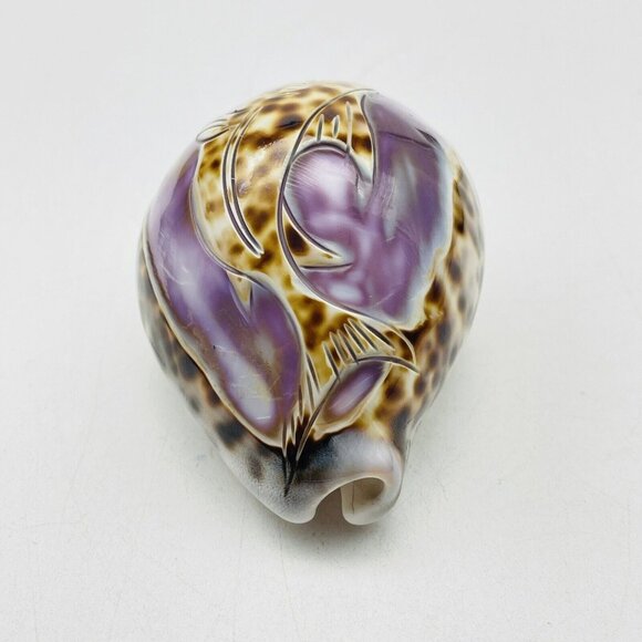 Cowrie Sea Shell Purple Top Hand Carved Engraved Swimming Shark Fish Beach Coast - Picture 4 of 9